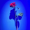 50代からの大人可愛い輝き部‎݁♬𓈒ּ֯݁♡ּ ݁𓈒