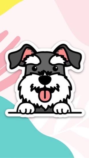 Thailand Mini-Schnauzer Club