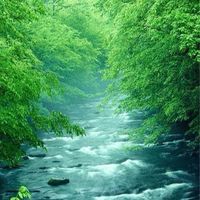 災害時情報提供部屋