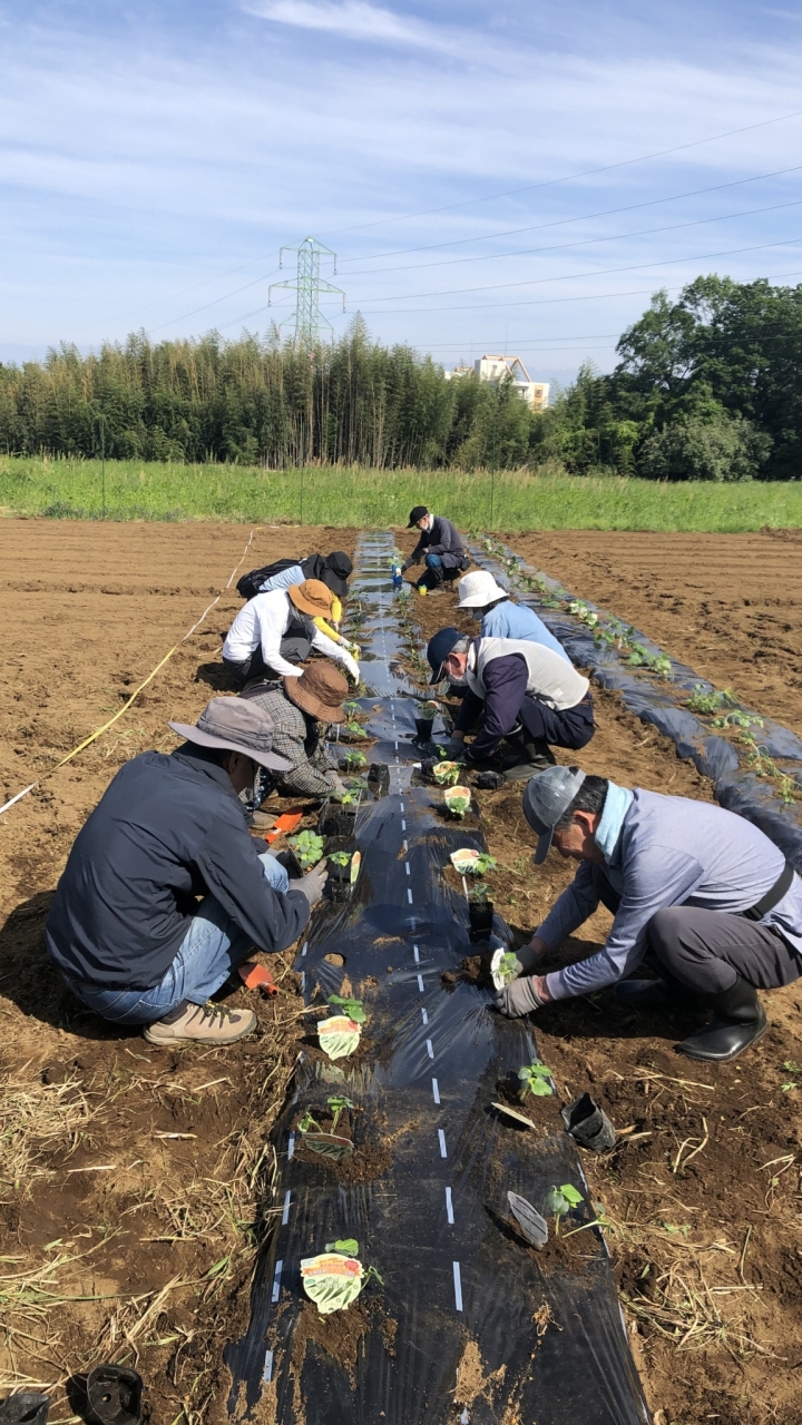 多摩市農業公園　市民サポーター
