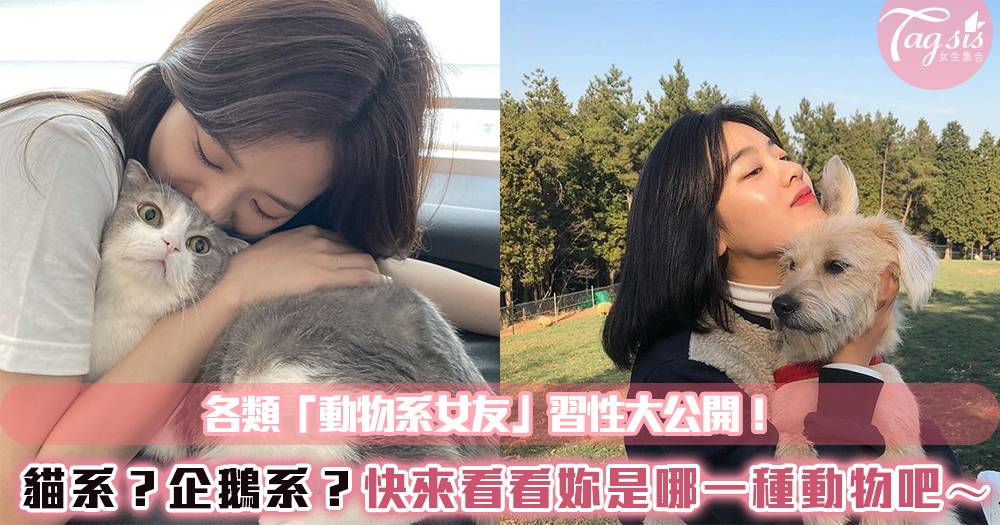 犬系 貓系 各類 動物系女友 習性大公開 快來看看sis們是哪一種吧 女生集合 Line Today