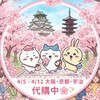 ꙳𝜗𝜚꙳4/5-4/12大阪京都代購