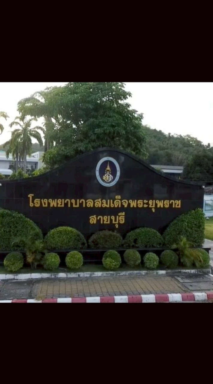 จองนัดแพทย์แผนไทย&แพทย์แผนจีน รพร.สายบุรี