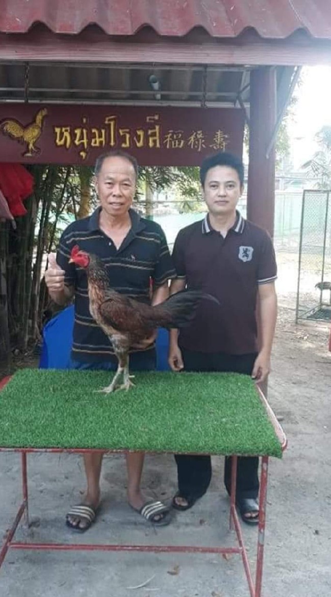 เอกไก่เยียร์พระยาก้องฟ้า