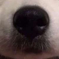วัดเถื่อน
