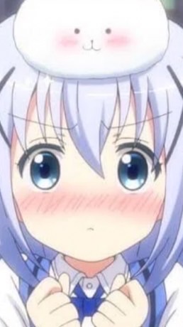 結人の信者・ファン教