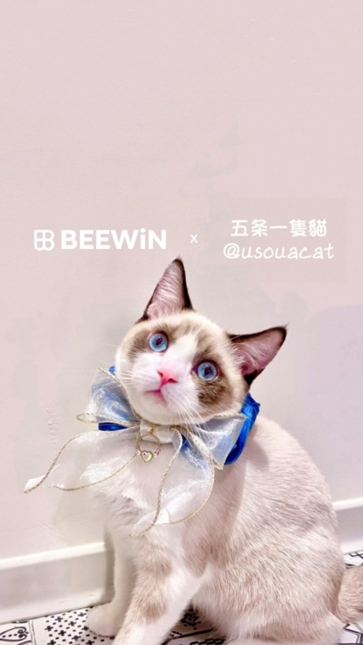 鏟屎官們的產地［BEEWiN官方寵物版］