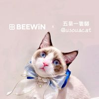 鏟屎官們的產地［BEEWiN官方寵物版］