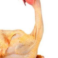 สาวกไก่ย่างวิเชียร