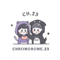 CH.23 韓日選品