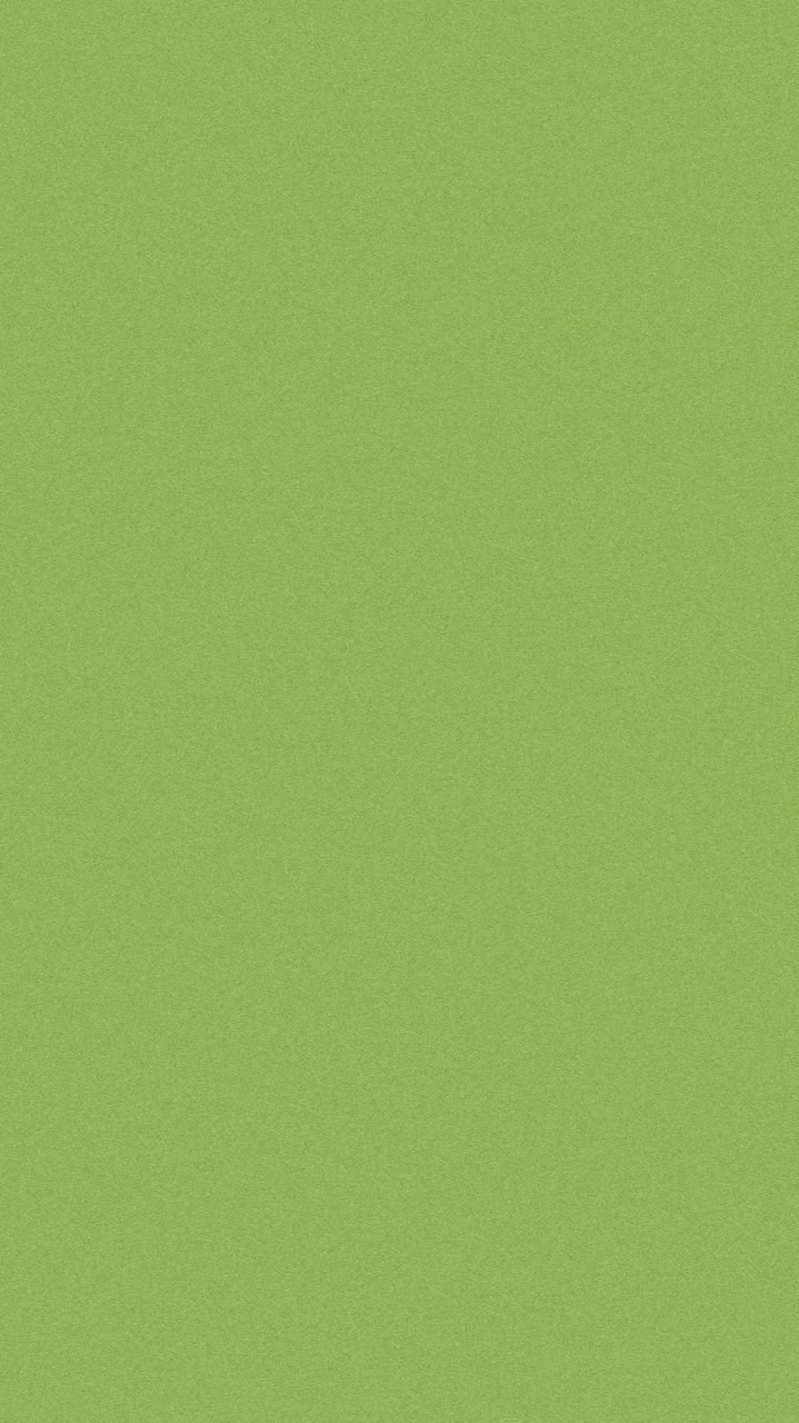 GREEN [ PPK SPORT DAY 2025 ]