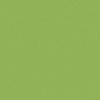 GREEN [ PPK SPORT DAY 2025 ]