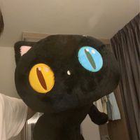 1538 and friends