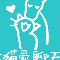 大猫愛聊天🦁🐈