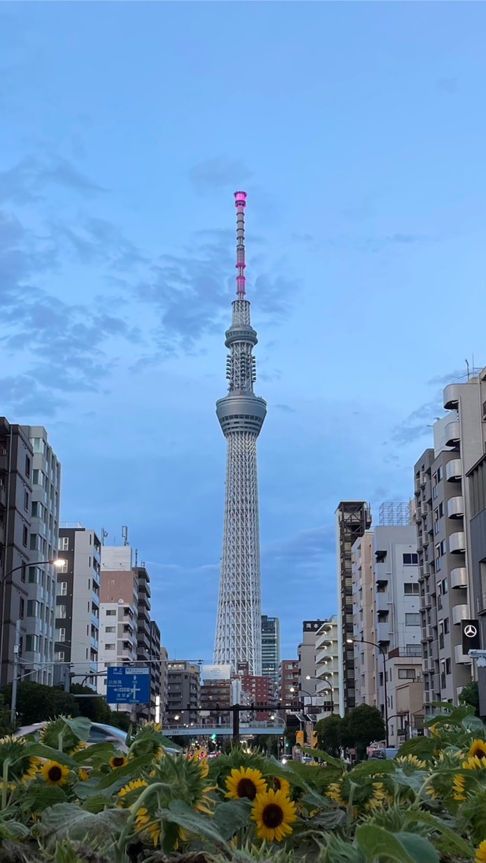 超・初心者・写真・倶楽部