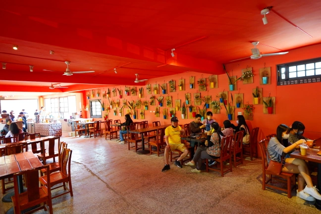 中部景點,斗六景點,斗六花旗木,近水樓台,近水樓台湖畔森林咖啡,近水樓台湖畔森林咖啡交通資訊,近水樓台湖畔森林咖啡停車場,近水樓台湖畔森林咖啡停車場花旗木,近水樓台湖畔森林咖啡門票,雲林IG打卡點,雲林景點,雲林網美景點,雲林花旗木近水樓台湖畔森林咖啡花旗木