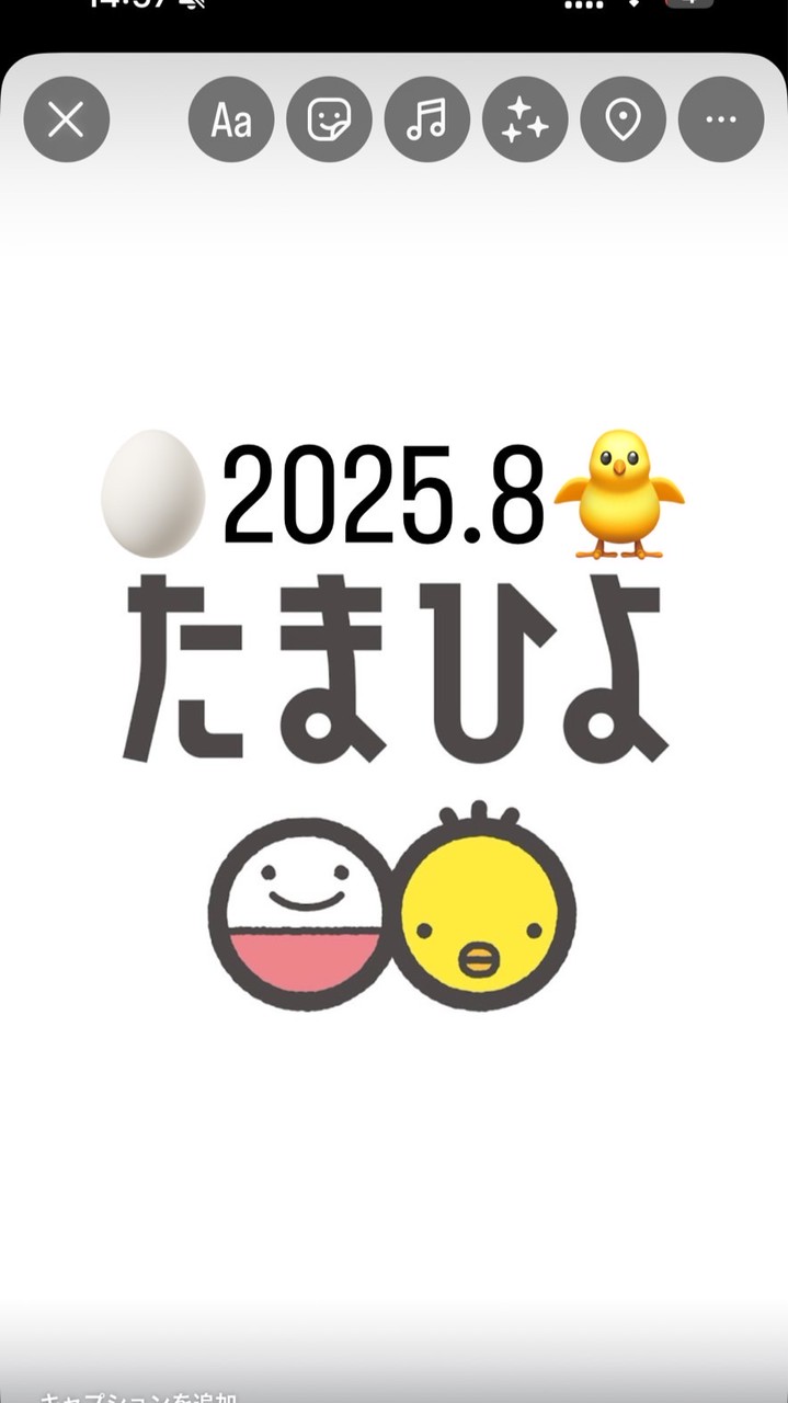たまひよ2025年8月ルーム🐣