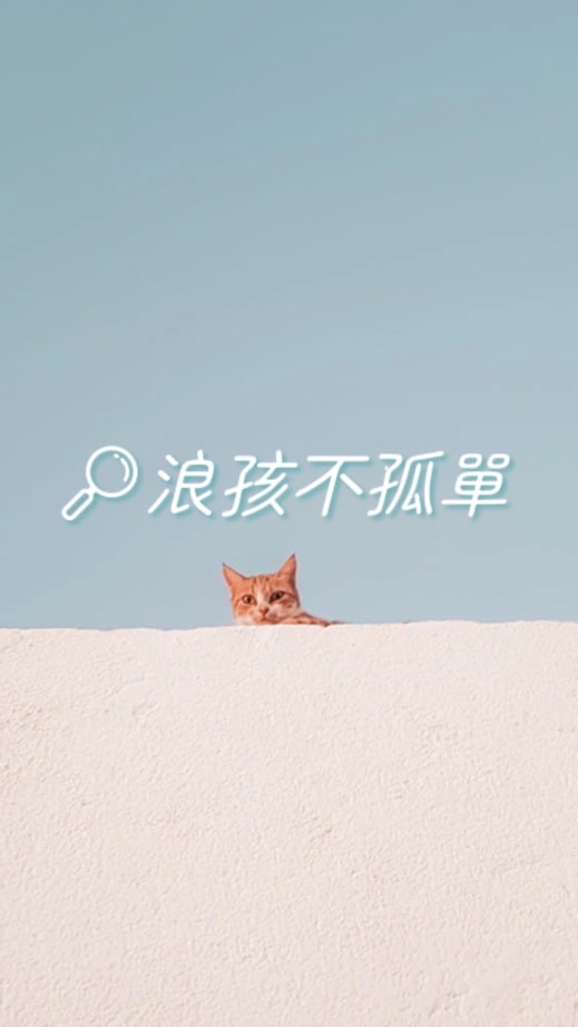 動保人要團結-浪孩不孤單