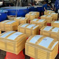 อ.รุ่งเรือง | แพปลาและวัตถุดิบ ปลีก-ส่ง ⭐