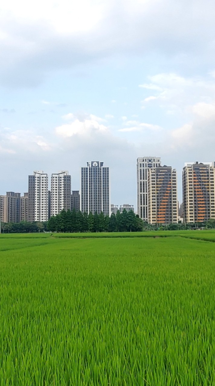 三本雲上住戶VIP群