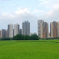 三本雲上住戶VIP群