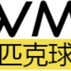 TWMLP 匹克球大聯盟