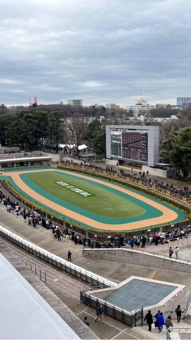 かりんの競馬共和国 OpenChat