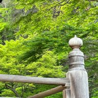 鎌倉、湘南辺り散策日記