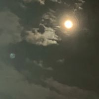 『　狂ッた愛デ何が悪ゐ　.ᐟ‪.ᐣ  』　twst ハント部屋