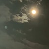 『　狂ッた愛デ何が悪ゐ　.ᐟ‪.ᐣ  』　twst ハント部屋