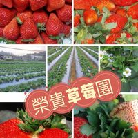 榮貴草莓園
