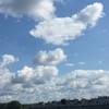 薇薇媽-代購、敗家、貴婦心路歷程🫶🏻