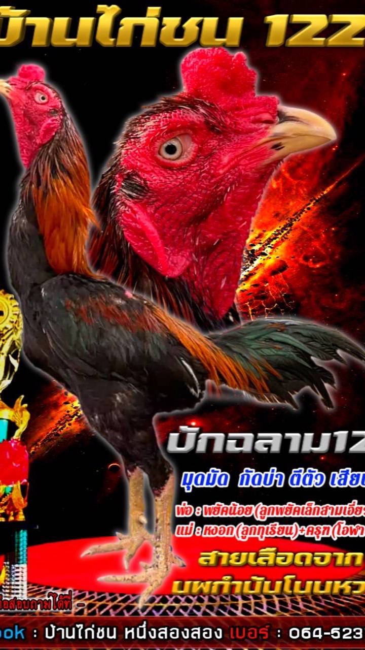 บ้านไก่ชน122