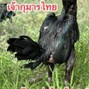 อ๊อฟ พิดโลก
