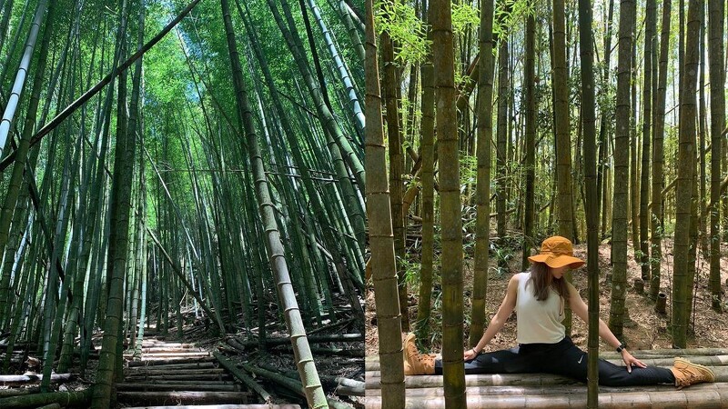 Photo／IG @ stacy_c_fit授權提供