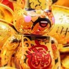 小楊直播交流群🔊