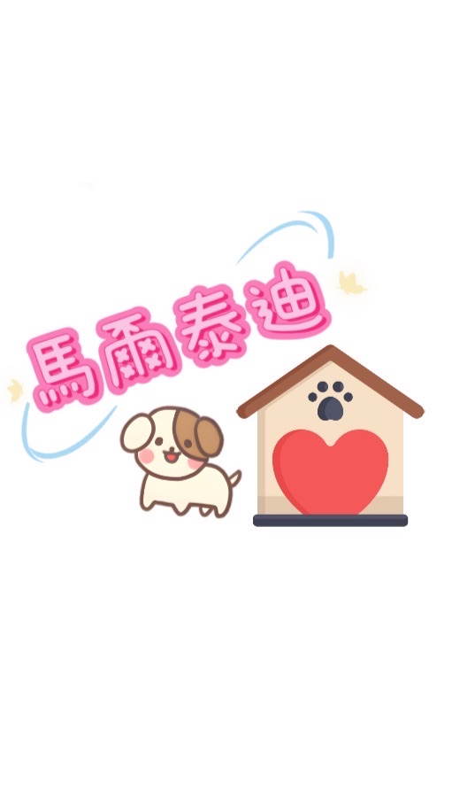 馬爾泰迪
