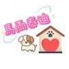 馬爾泰迪