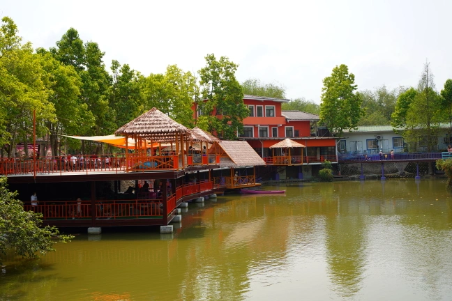 中部景點,斗六景點,斗六花旗木,近水樓台,近水樓台湖畔森林咖啡,近水樓台湖畔森林咖啡交通資訊,近水樓台湖畔森林咖啡停車場,近水樓台湖畔森林咖啡停車場花旗木,近水樓台湖畔森林咖啡門票,雲林IG打卡點,雲林景點,雲林網美景點,雲林花旗木近水樓台湖畔森林咖啡花旗木