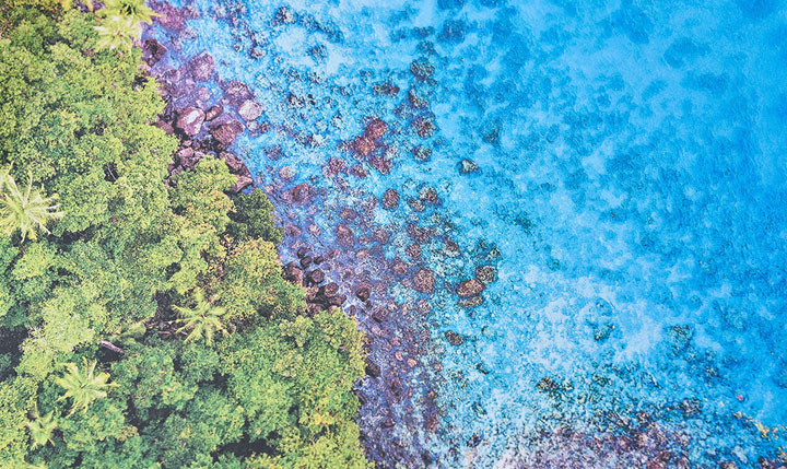 Epson EcoTank L15150 A3+ 高速雙網連續供墨複合機評測：完整商務應用功能，更滿足高品質照片輸出需求！