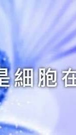 紫家團隊RW見證群