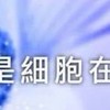 紫家團隊RW見證群