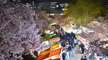 日本觀察｜日本人其實也會殺價？台灣與日本人的殺價文化大不同？