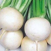 株式投資チャットルーム