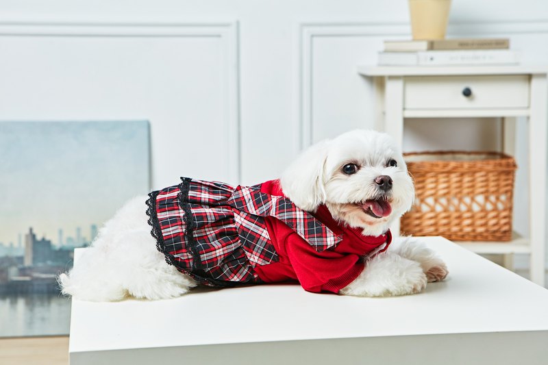 此商品為小型犬上衣，尺寸XS-XL