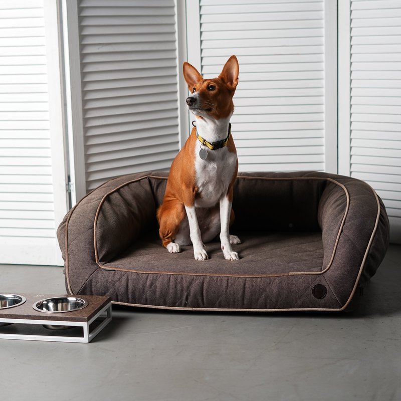帶有可移動護罩的中型狗的矯形狗沙發。記憶泡沫。 M尺寸90x65厘米