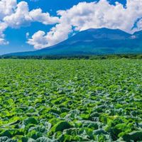 集まれ‼️ 日本全国の農業高校生