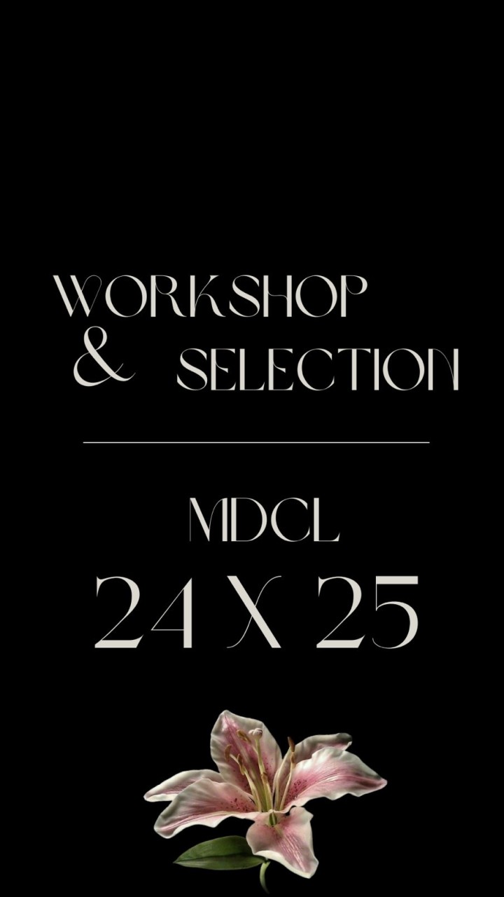 Workshop&Selection MDCL25