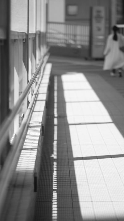 写真・カメラ・風景が好きな人集まれ！  📸📷 ́͏̖-