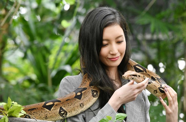 破案神手 菜菜緒